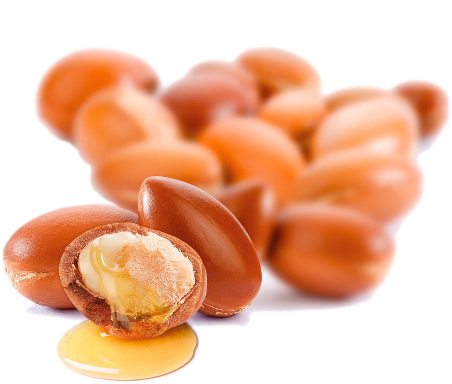Argan – ein weiterer Rohstoff unserer Nachtcreme