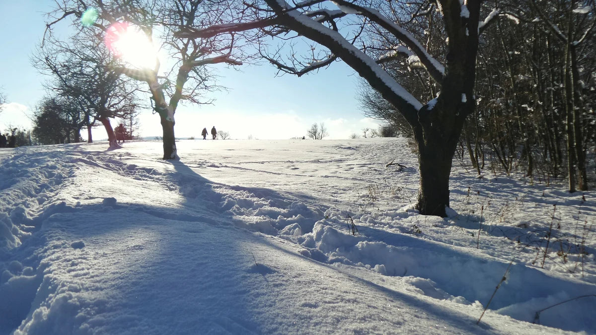 Winter Sonne Immunsystem stärken